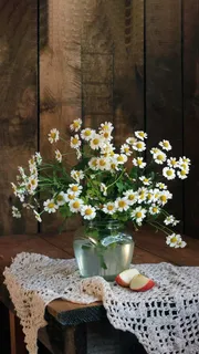 花朵高清摄影图片 花朵高清摄影图片