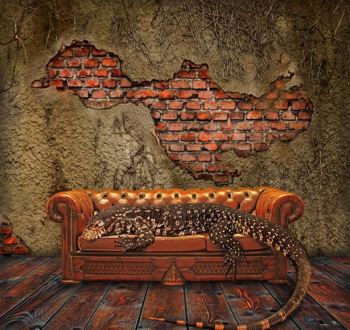 室内空间 沙发图片