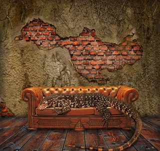 室内空间 沙发图片