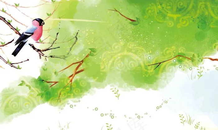 手绘春天树枝小鸟海报背景模板(4998X3000(DPI:300))psd模版下载