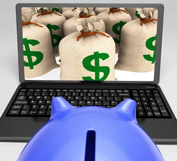 在美国成功盈利美元袋