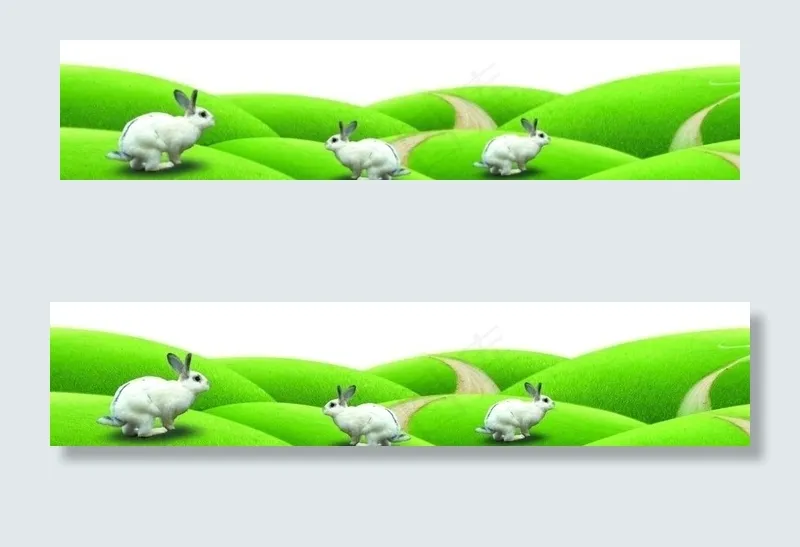 小兔子图片psd模版下载