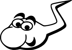 快乐的spermatozoide动...