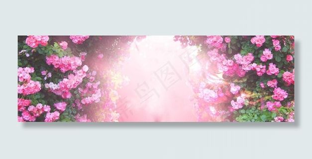 玫瑰花园 花朵背景