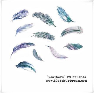 逼真的动物羽毛效果PS笔刷
