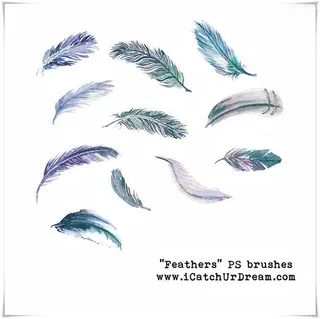 逼真的动物羽毛效果PS笔刷