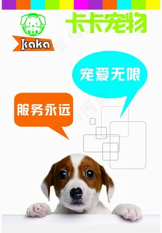 宠物海报创意设计图片