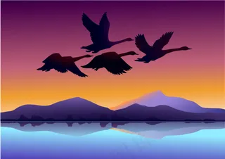 天鹅与夕阳背景矢量素材