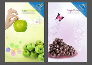 新鲜青苹果和黑加仑素材