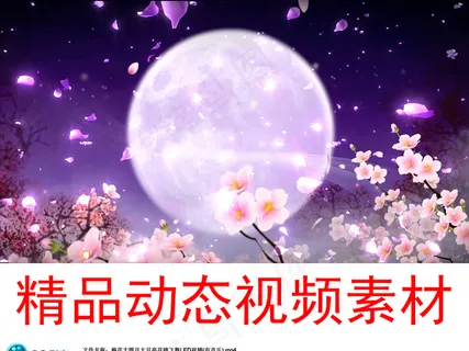 梅花大圆月大月亮花辨飞舞LED视频...