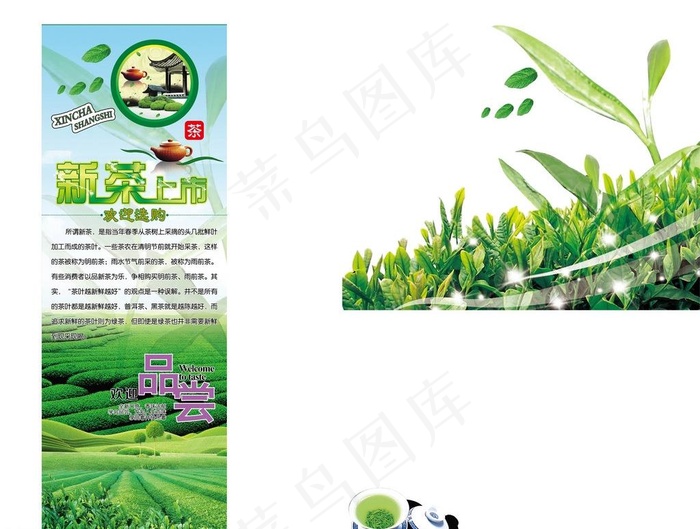 春茶 茶包装图片ai矢量模版下载