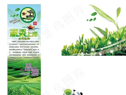春茶 茶包装图片 春茶 茶包装图片