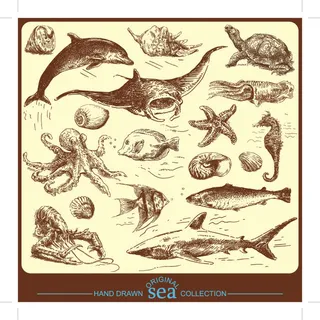 手绘线稿夏季海底生物素材矢量图