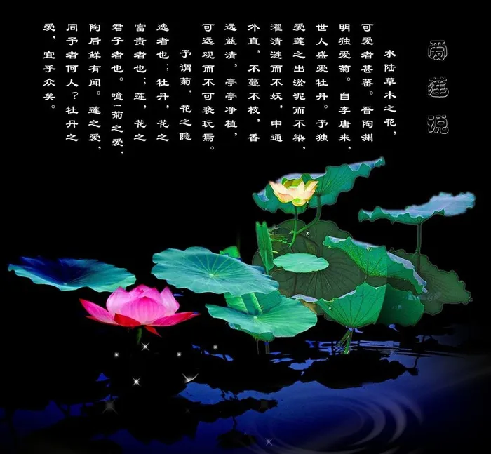 爱莲说图片(6236X6123(DPI:72))psd模版下载