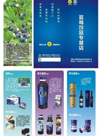 蓝莓饮品三折页 蓝莓三折页 三折页...