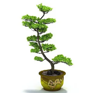 园林植物、景观植物、树木3D模型免...