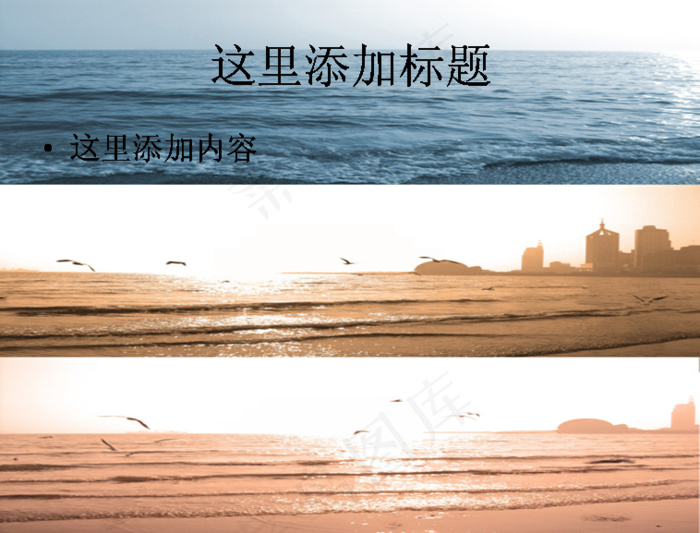 大海海鸥高清PPT模板范文风景P...