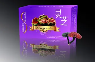 灵芝包装盒 手提袋 (注展开图)图...
