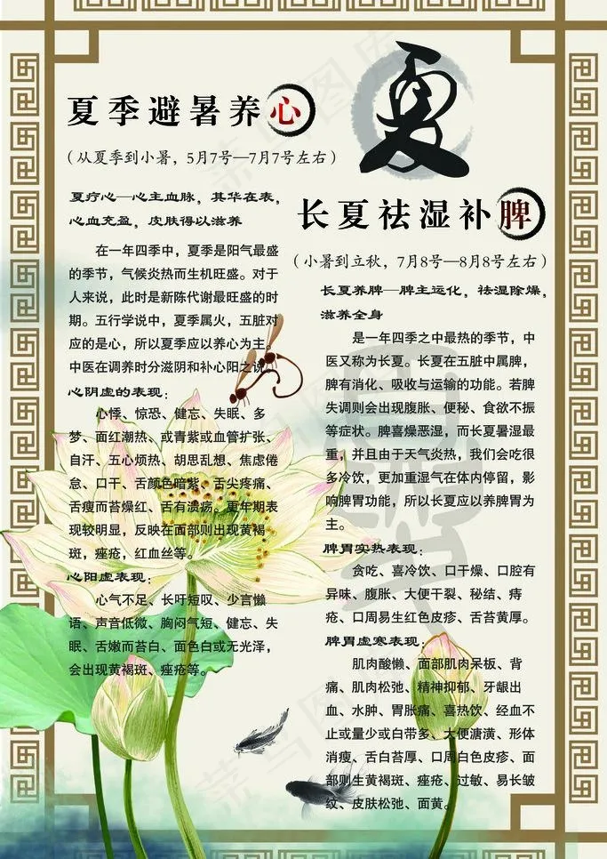 夏季养生图片psd模版下载