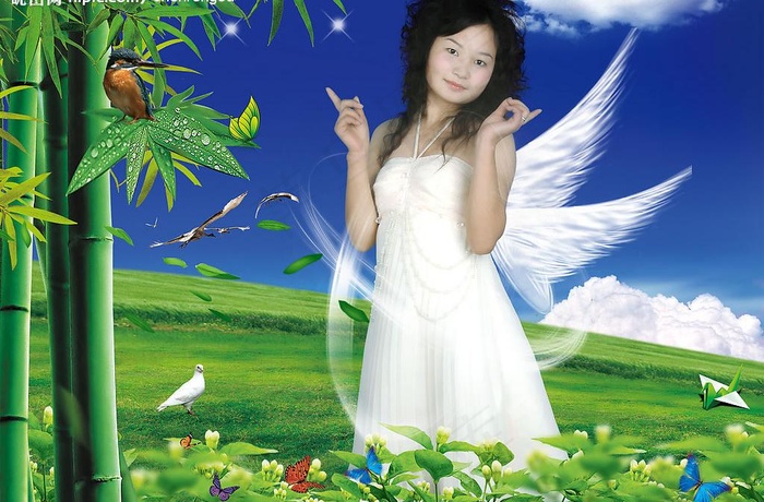 翠竹草地图片
