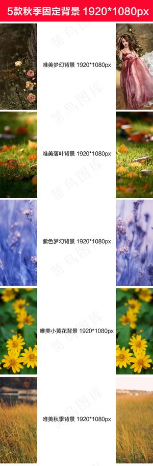 淘宝天猫固定背景唯美装修背景模板2