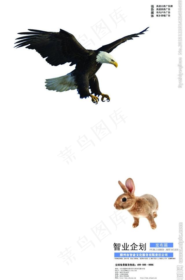 精准发布图片