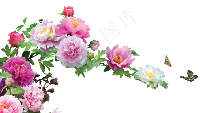 蝴蝶牡丹植物抠图素材