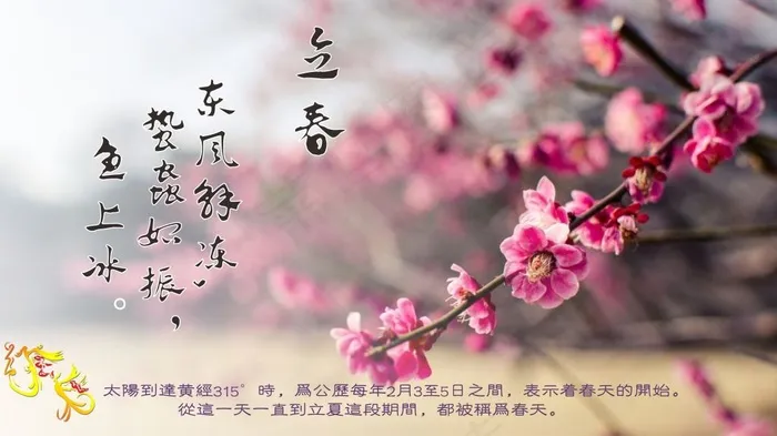 立春海报cdr矢量模版下载