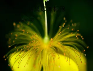 全球摄影大赛自然类（3_10）