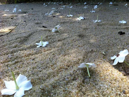 马来西亚海滩图片 马来西亚海滩图片