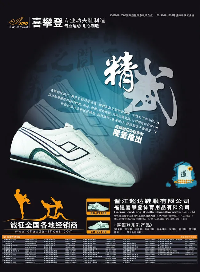 喜攀登精武功夫鞋宣传海报PSD素材(2481X3366(DPI:300))psd模版下载