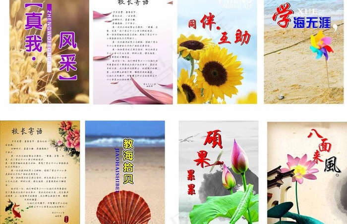 学校 教师档案封图片cdr矢量模版下载