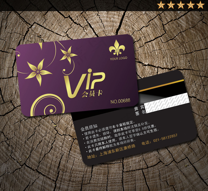 精美VIP卡模板设计 尊贵VIP卡...
