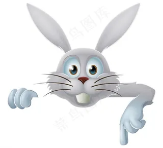 兔子图片
