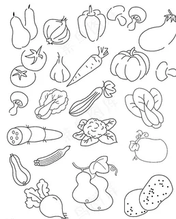 蔬菜简笔画图片