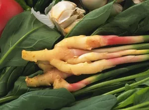 蔬菜图片
