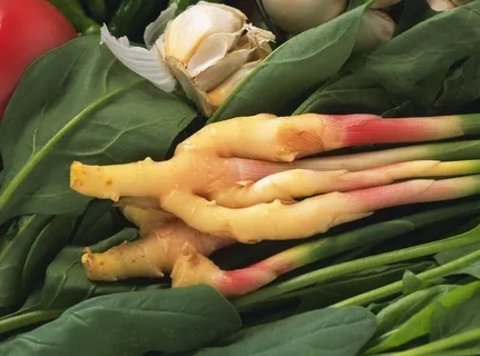 蔬菜图片 蔬菜图片