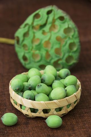 剥开的莲蓬莲子摄影图