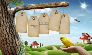 树枝卡片风景图片