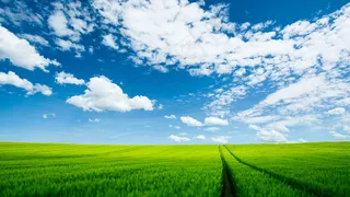 蓝天白云绿色草原背景