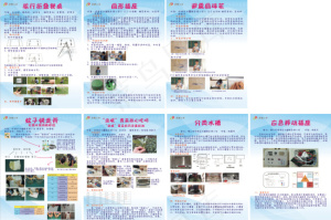 小学生科技展板