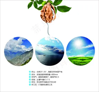 磨浆核桃乳海报