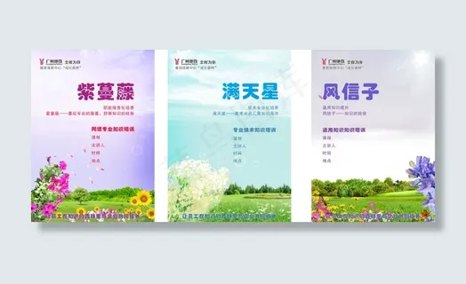 培训花背景 培训花背景