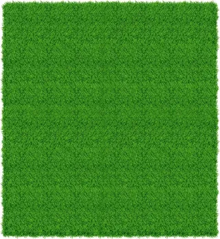 绿色草坪png元素