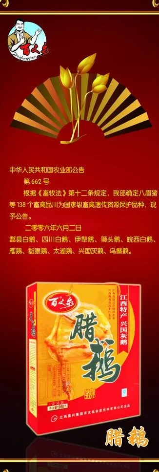 x展架图片(2362X6299(DPI:100))psd模版下载