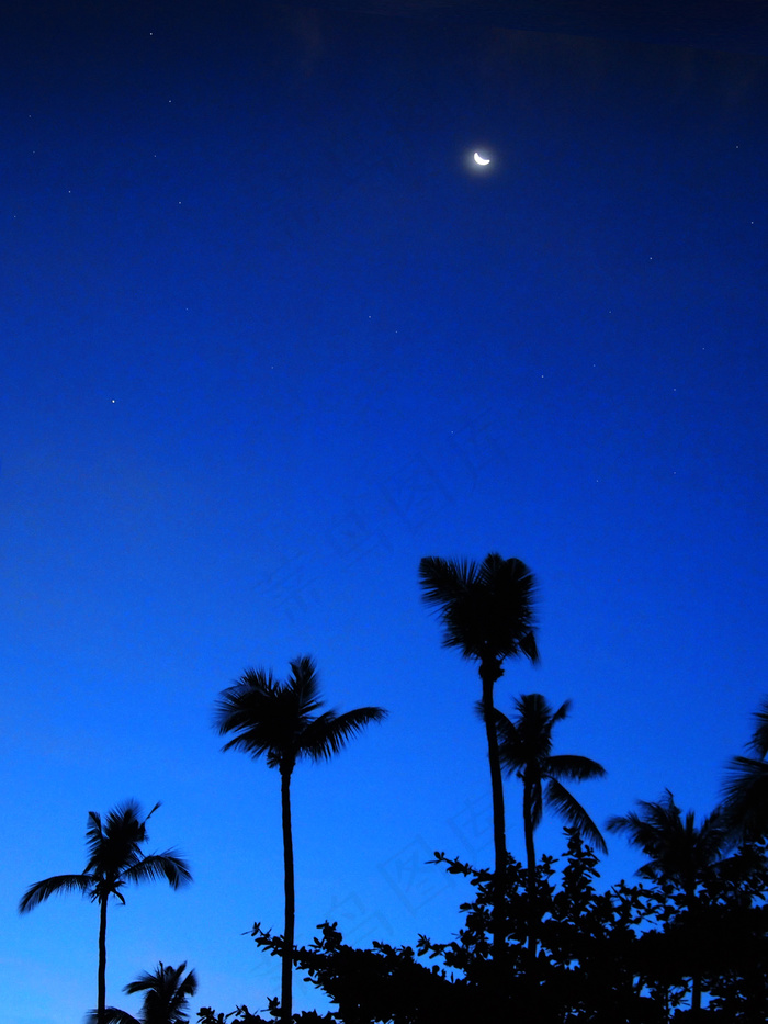 椰林海滩夜景图片