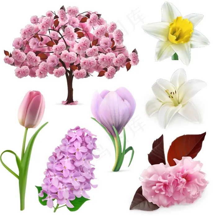 粉色花朵植物eps,ai矢量模版下载