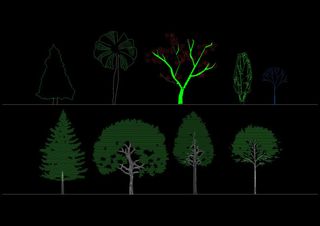 园林景观植物cad立面图库