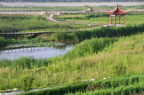 蔡家坡渭河湿地公园图片 蔡家坡渭河湿地公园图片
