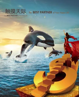 跃出水面的鲸鱼 跃出水面的鲸鱼